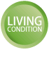 LIVING CONDITION
